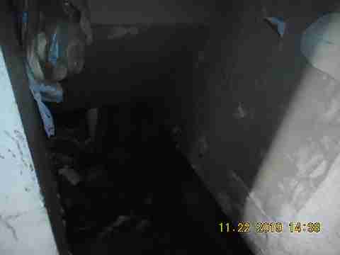 9226 Forrer (46)_m.jpg